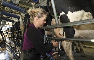 Agriculture : un forum pour que les femmes osent faire le saut