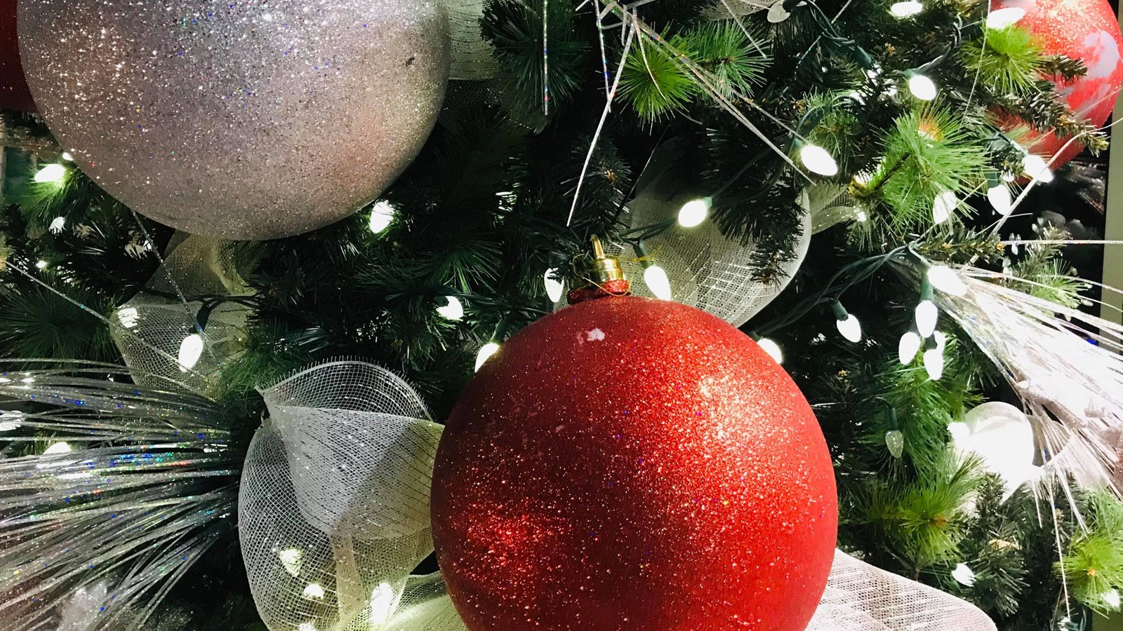 Offrez une seconde vie à votre sapin