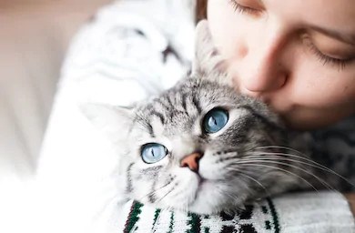 Des jeunes en réinsertion expriment leur amour des animaux dans un documentaire