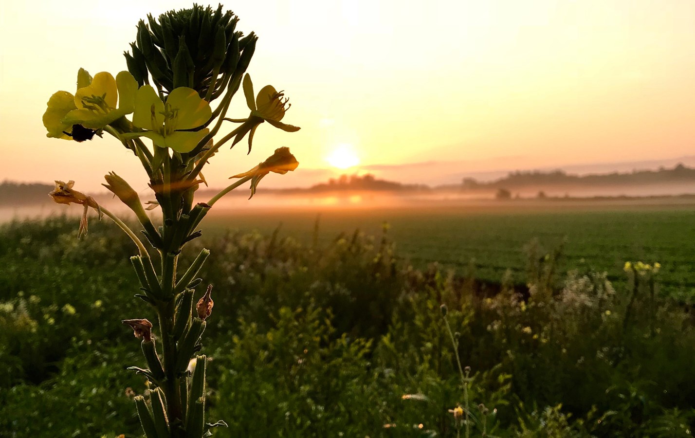 Le paysage agricole sera pensé, lors du forum Agriclimat le 25 mars prochain, en fonction des changements climatiques et de nouvelles pratiques agricoles.