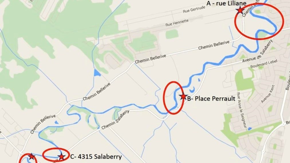 La carte des secteurs de Carignan concernés par les travaux.