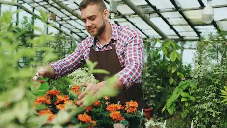 Québec Vert demande la réouverture de tous les canaux de distribution des producteurs de végétaux du Québec