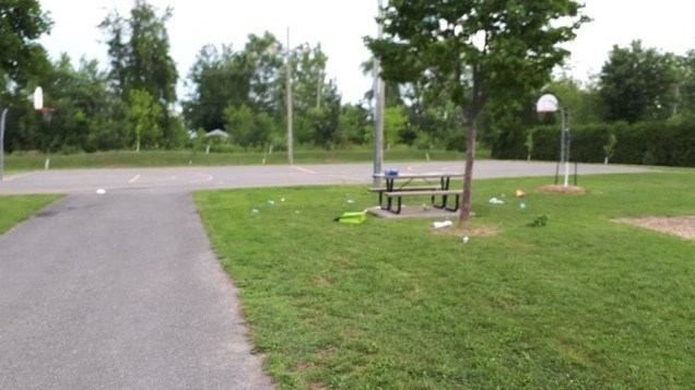 Rappel de la réglementation dans les parcs municipaux