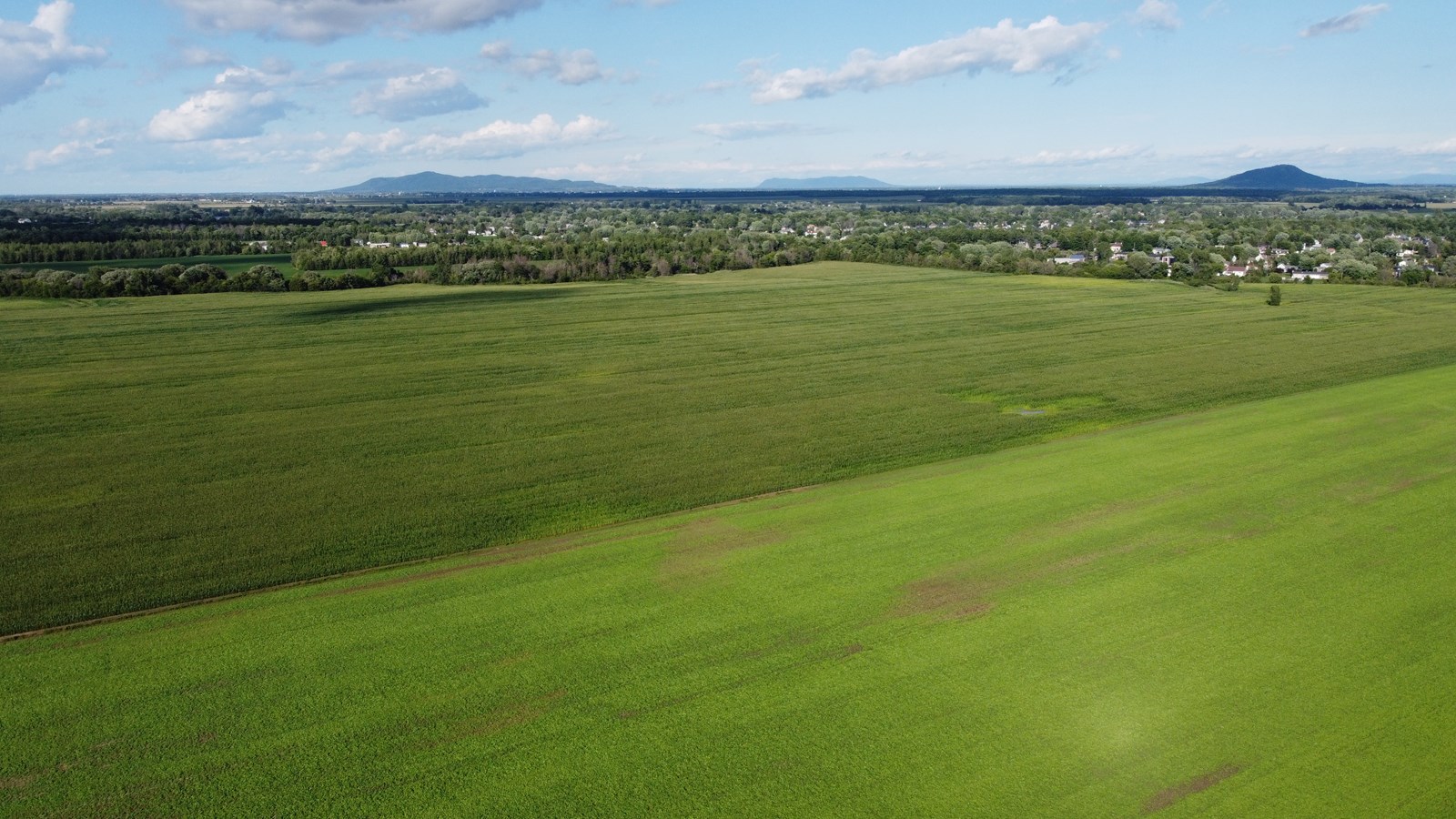 L'UPA Montérégie demande un engagement ferme pour protéger le garde-manger du Québec