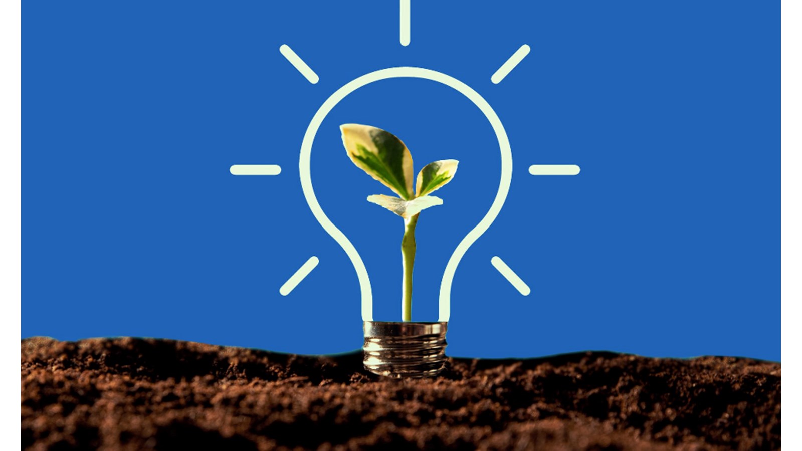 Soumettez votre projet inspiré par le thème de l'environnement d'ici ce vendredi
