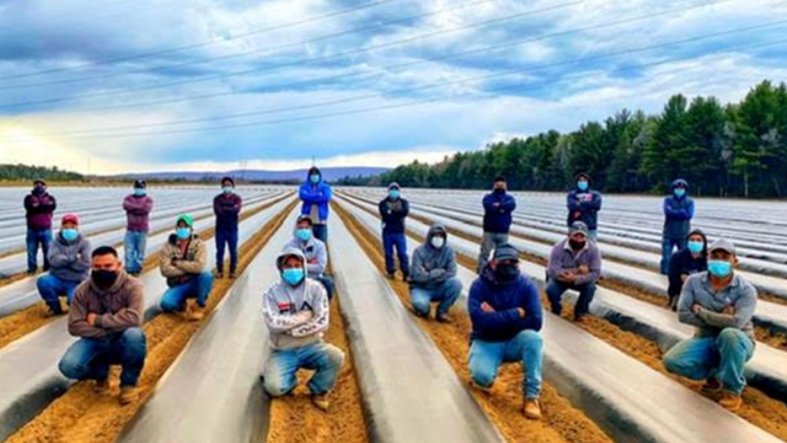 On compte plus de 6 880 entreprises agricoles sur le territoire de la Montérégie qui recrute environ 7 000 TET annuellement