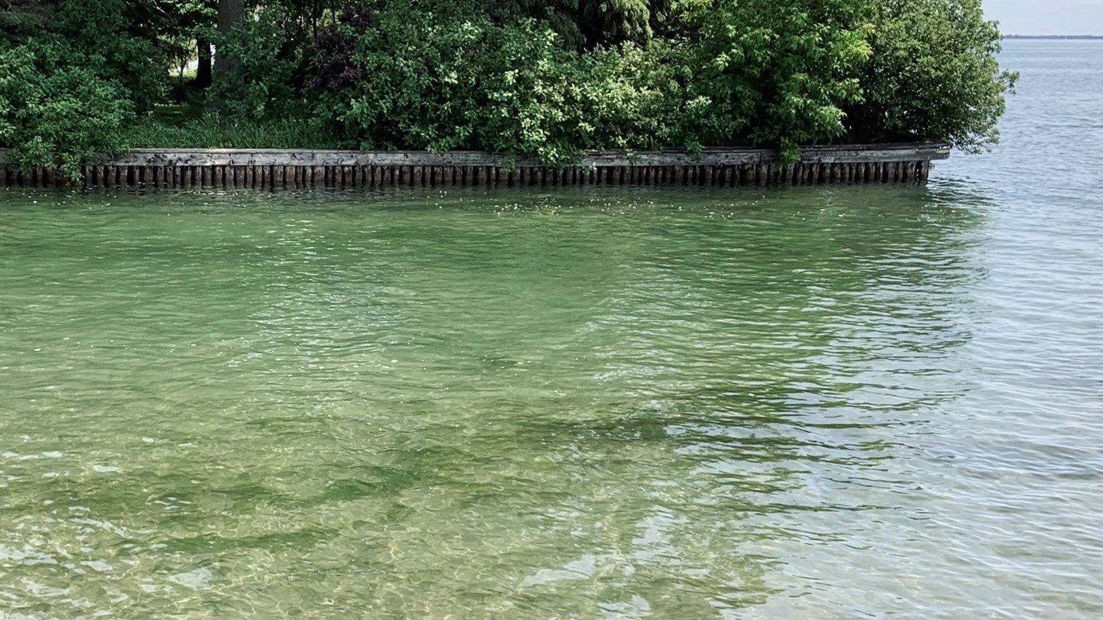 Surveiller la qualité de l’eau lors des baignades