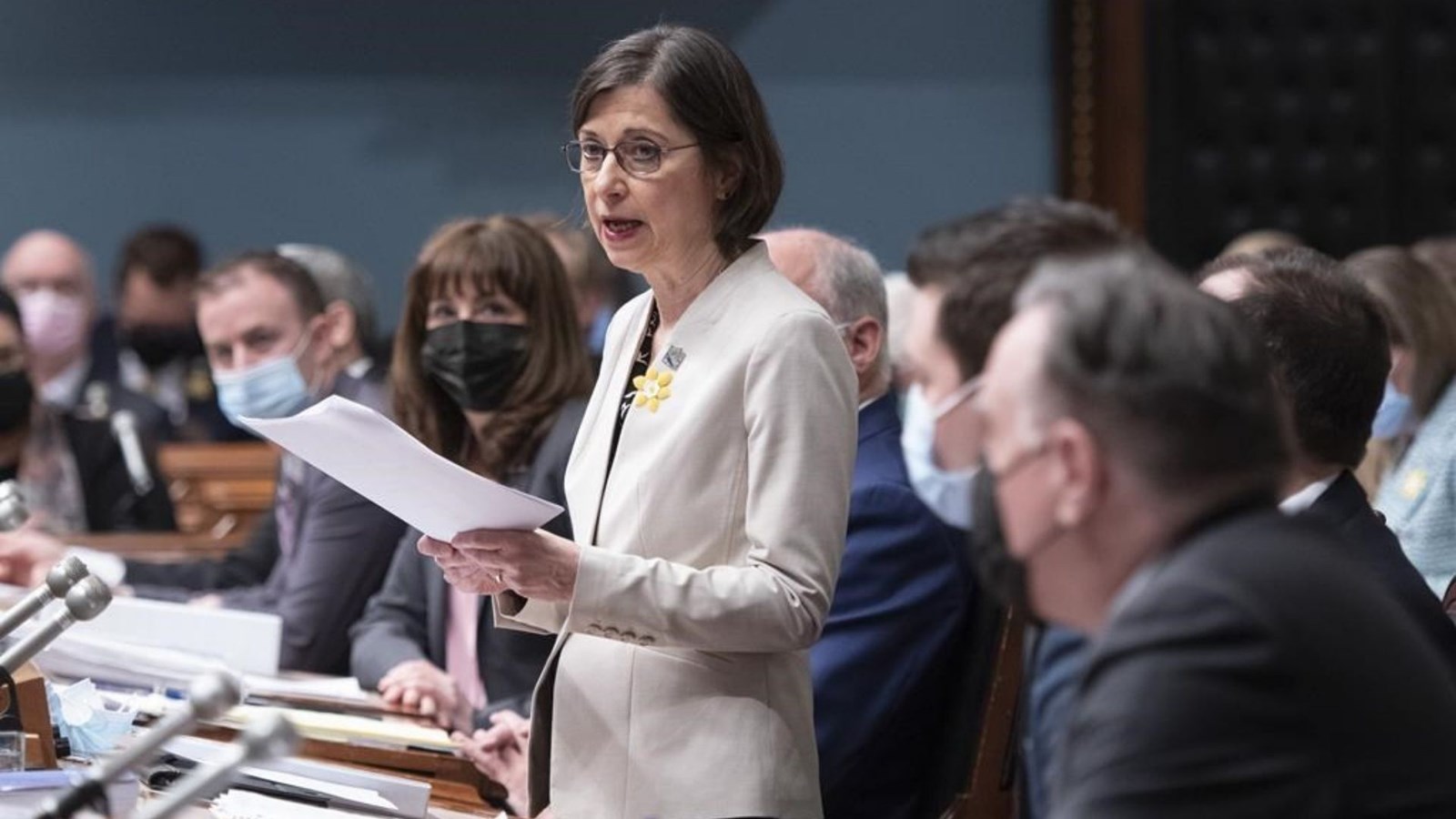 La ministre de l’Enseignement supérieur, Danielle McCann.