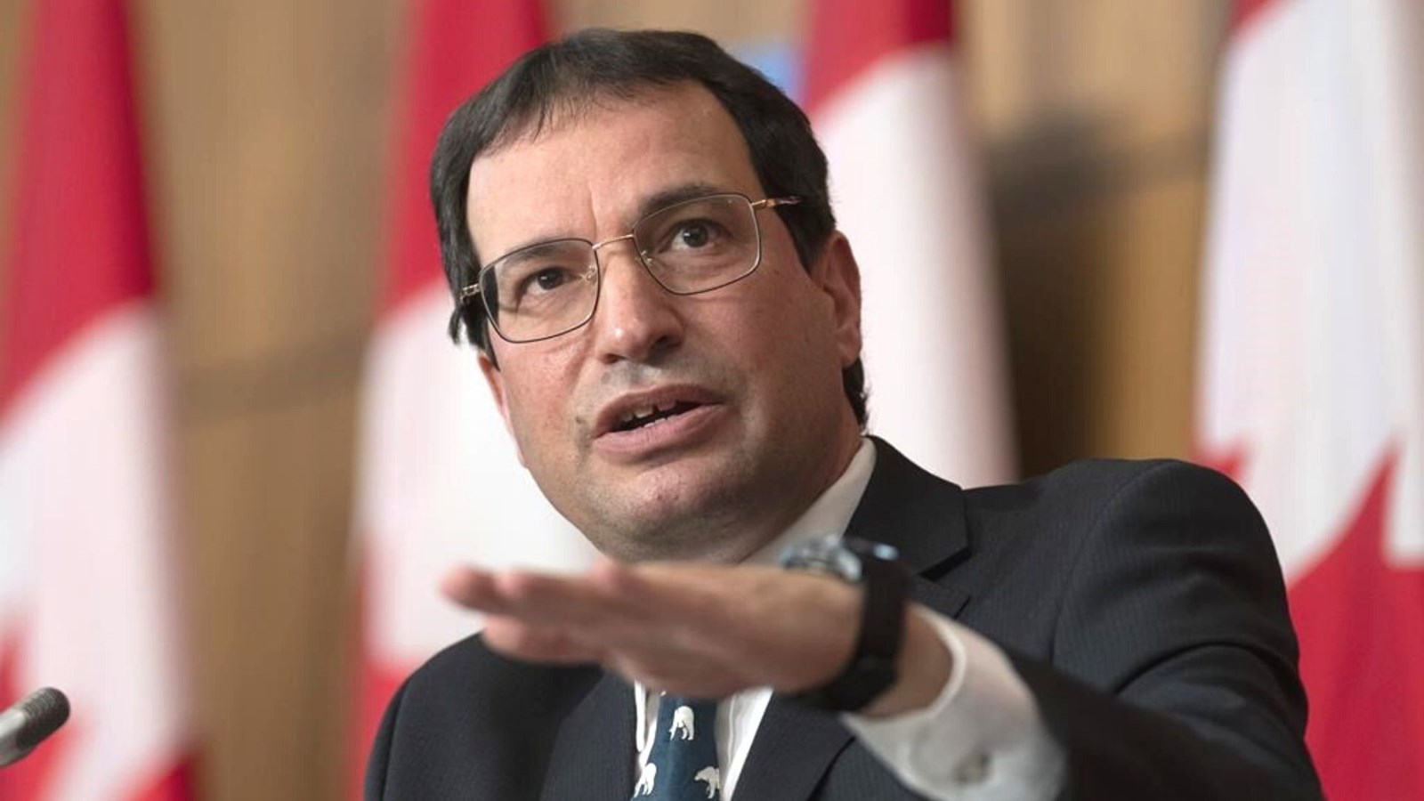 Le commissaire à l’environnement, Jerry DeMarco.