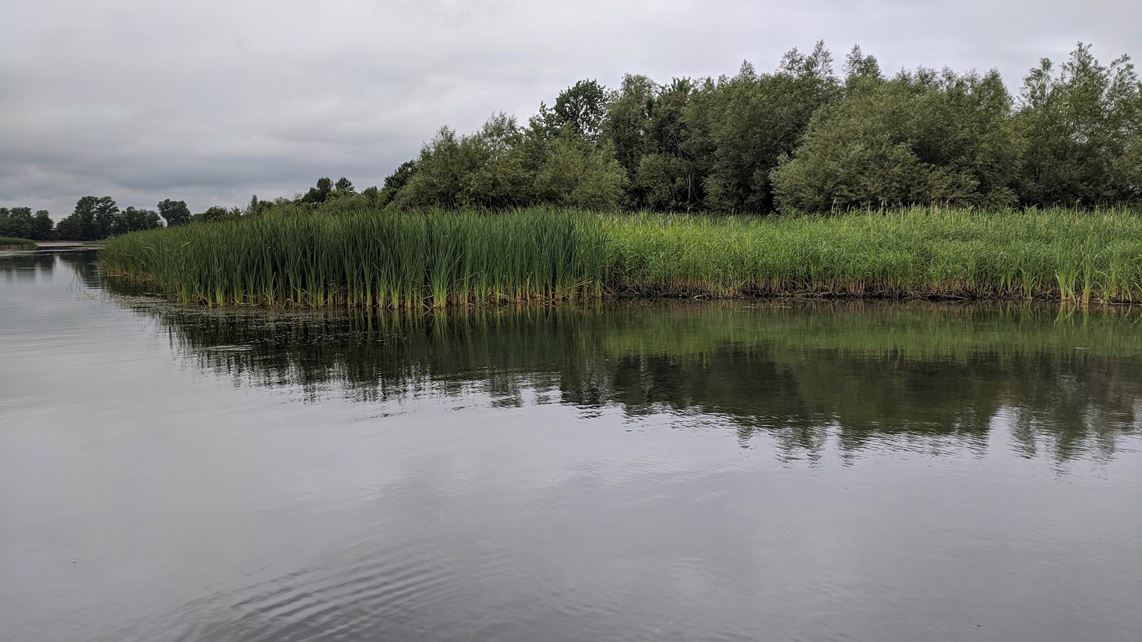 Un groupe de conservation protège cinq îlots de la rivière Richelieu