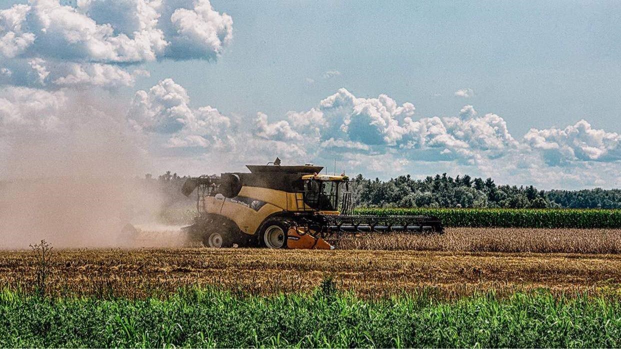 Découvrez le nouveau site Web « La Route des sols en santé » : plus de 50 producteurs répertoriés en Montérégie