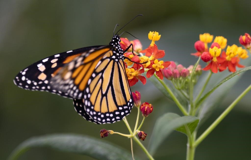 Biodiversité: des élus demandent de réviser la Loi sur l’expropriation