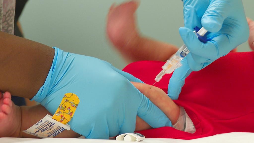 Zona: vaccination gratuite le mois prochain aux personnes jugées plus vulnérables