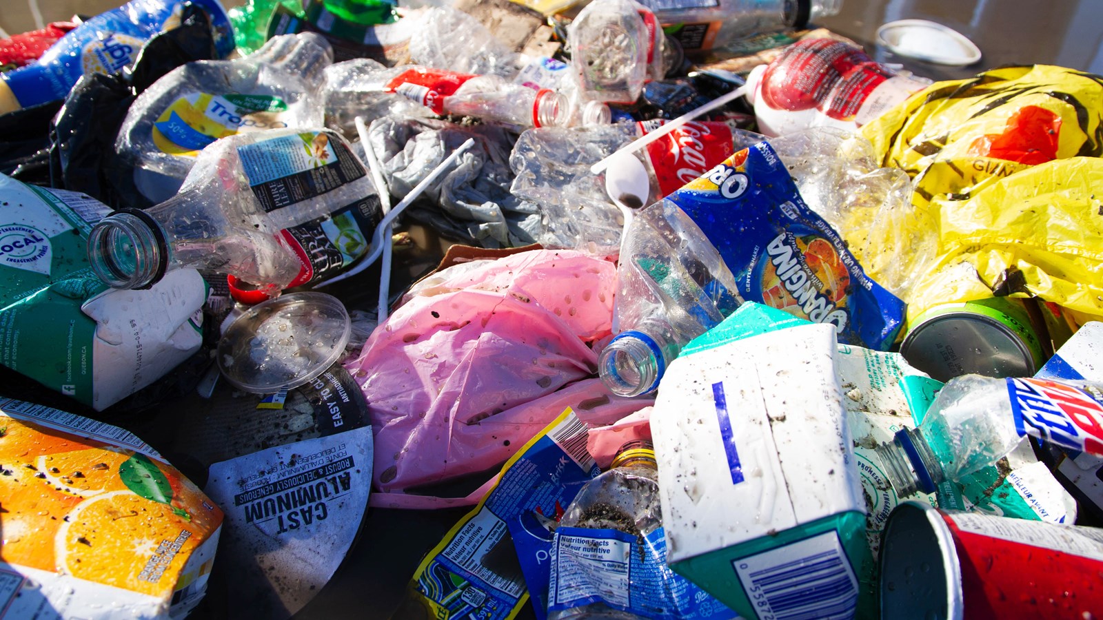 Ottawa lance une consultation jusqu'en février sur le registre des plastiques
