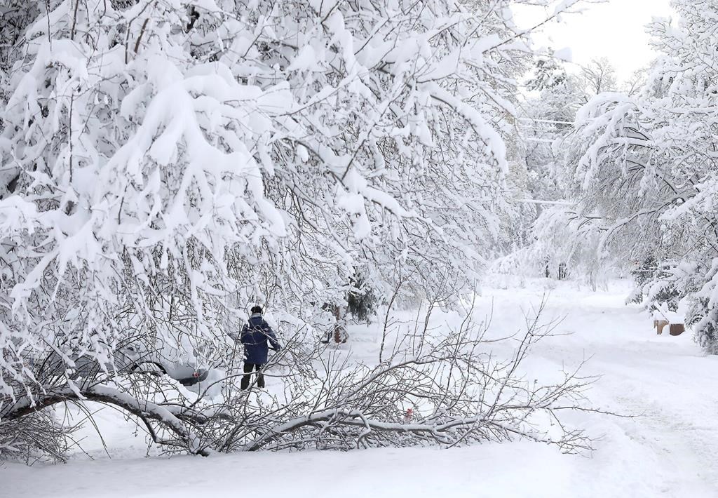 Québec: pluie et neige abondantes selon les régions à venir en fin de semaine