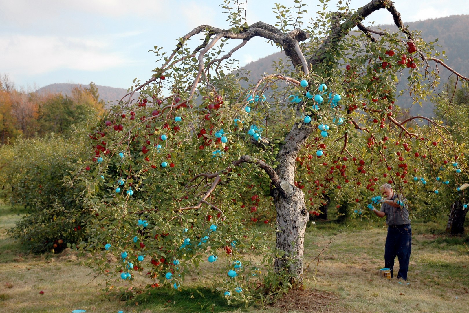 Dans le cadre du Land art Mont-Saint-Hilaire, chaque artiste créera une œuvre éphémère en utilisant des éléments de la nature. (Photo : Courtoisie)