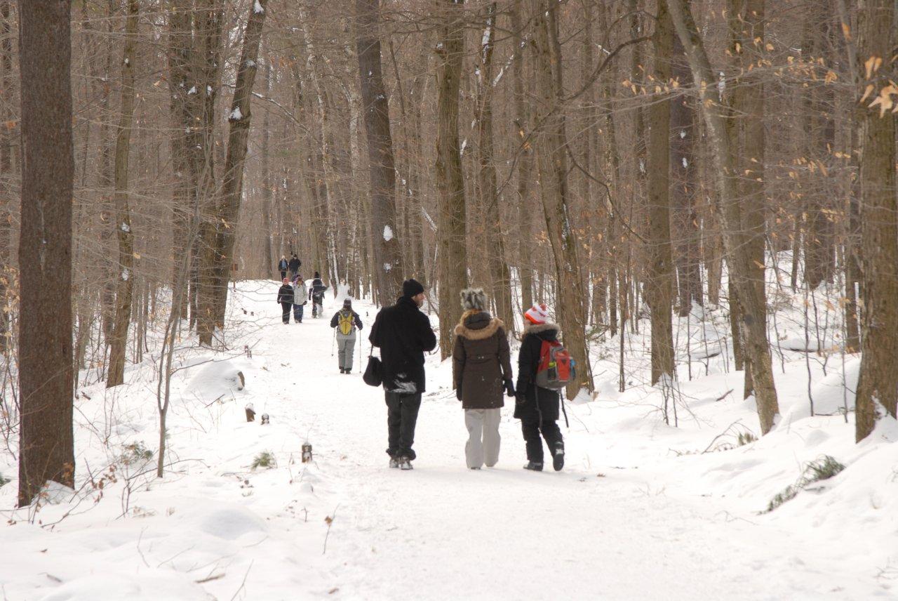 Le mont Saint-Hilaire abrite un magnifique espace de conservation, où se trouve le Centre de la nature du mont Saint-Hilaire. Un endroit de choix pour s’adonner à quelques activités hivernales en mode contemplatif.