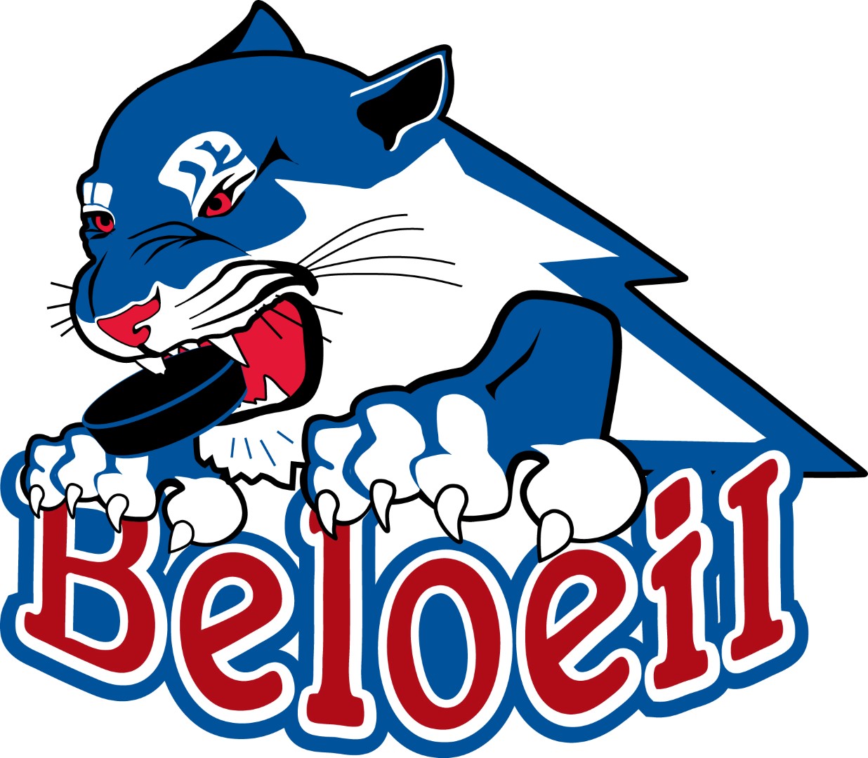 L’Association du hockey mineur de Beloeil tiendra son assemblée générale annuelle le mercredi 30 mai.