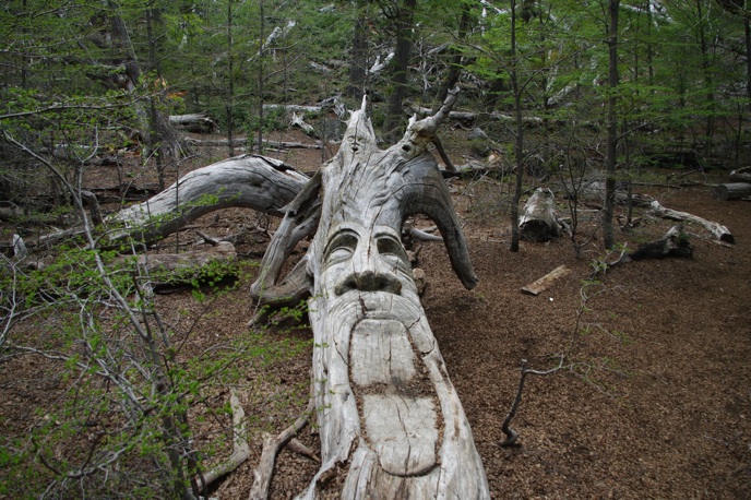 Le 2 mai, la Maison amérindienne de Mont-Saint-Hilaire invite les citoyens à décorer la forêt pour une exposition à ciel qui aura comme durée de vie celle de leurs œuvres éphémères.