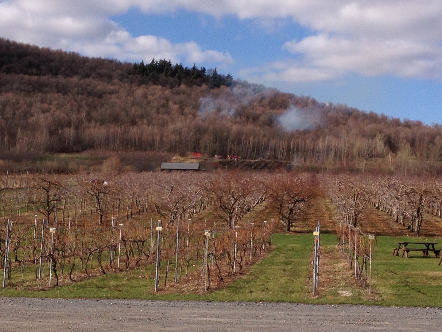 Danger d’incendie de forêt élevé en Montérégie