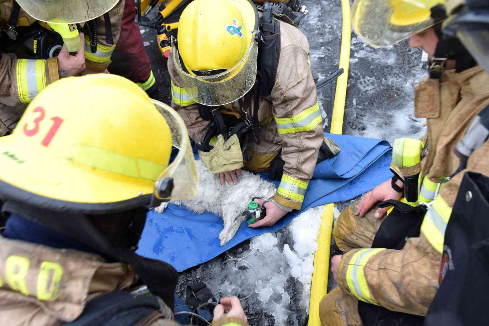 Deux feu en seulement 4 jours pour 2015