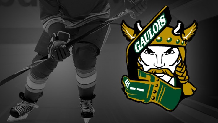 Les Gaulois pee-wee AAA peuvent sortir la tête haute