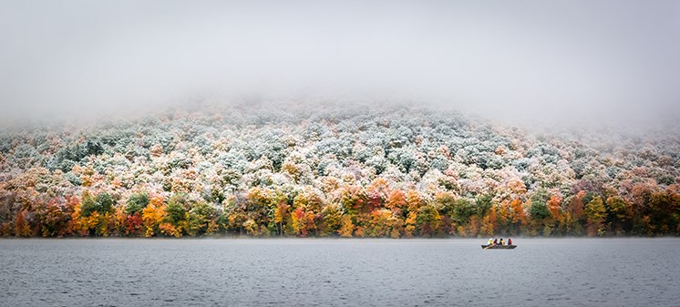 Les gagnants de la 15e édition du concours photographique de la Réserve de biosphère du mont Saint-Hilaire sont dévoilés