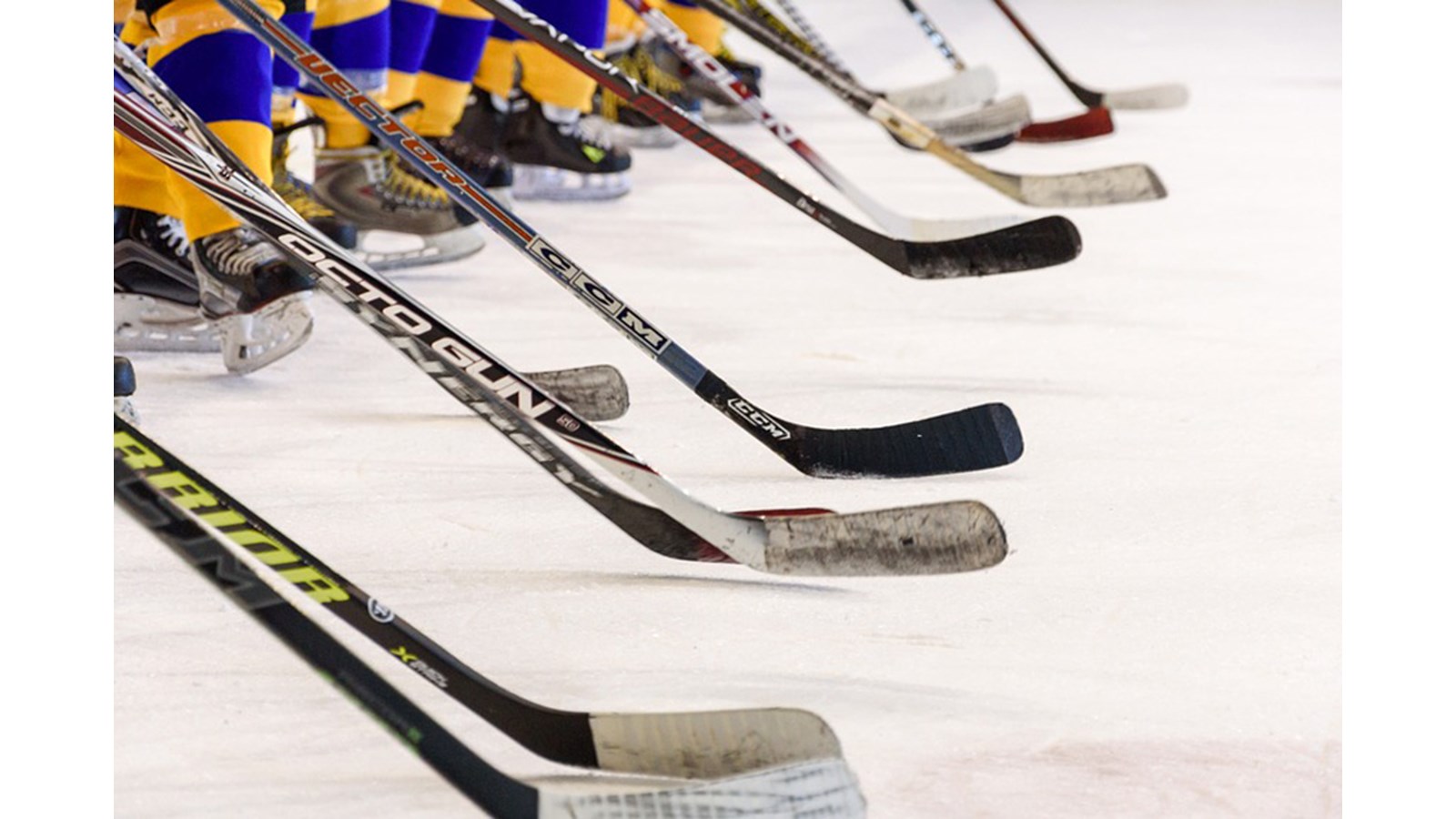 Une première édition pour la Journée de perfectionnement des entraîneurs québécois