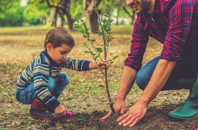 À Richelieu, des bénévoles recherchés pour planter près de 600 arbres samedi