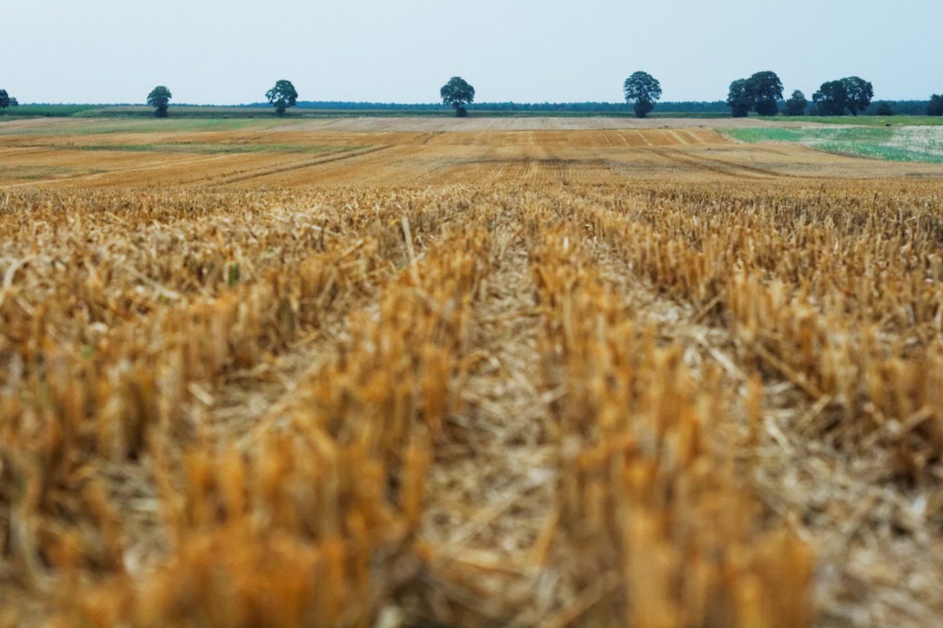 3.75 millions de dollars pour favoriser la participation des jeunes dans le secteur agricole