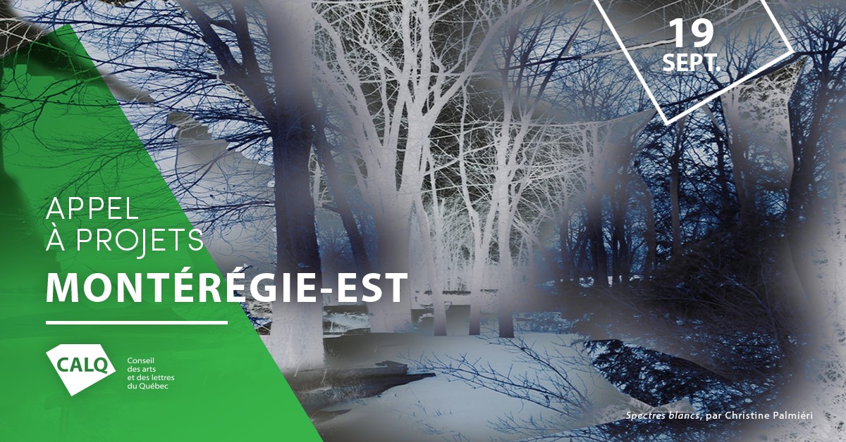 Appel à projets pour les artistes, écrivains et organismes artistiques de la Montérégie-Est
