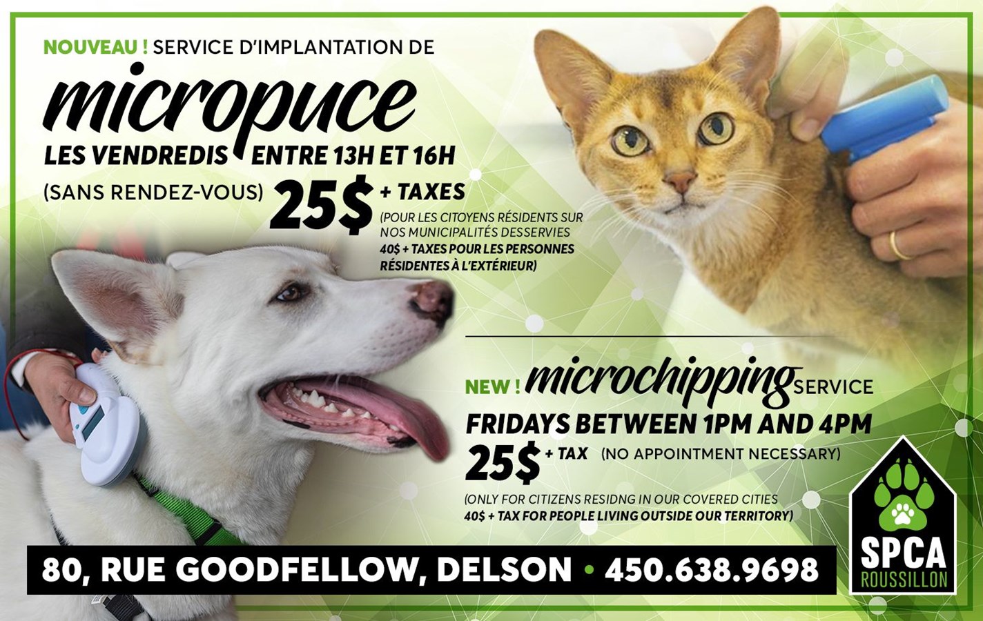 Faites micropucer votre animal à moindre coût
