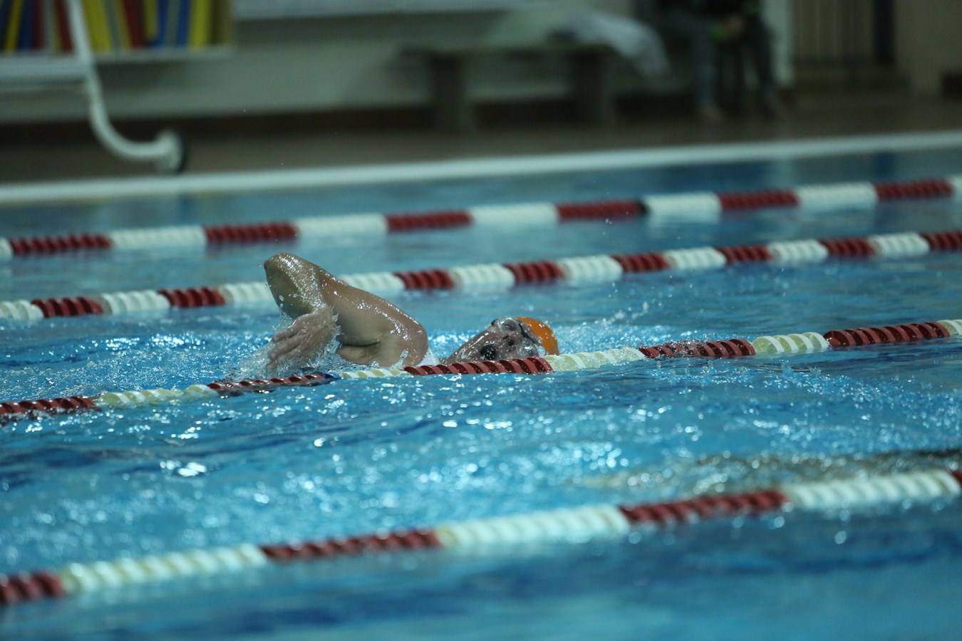 Triathlon du Centre sportif du cégep Édouard-Montpetit : un événement rassembleur 