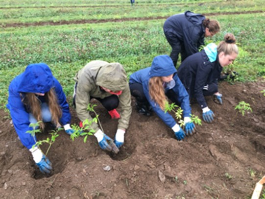 ALUS Montérégie aidera à améliorer encore plus la qualité de l’eau, restaurer des habitats naturels et protéger la biodiversité locale, grâce à un nouveau financement octroyé au projet New Acre d’ALUS Canada par Silk.