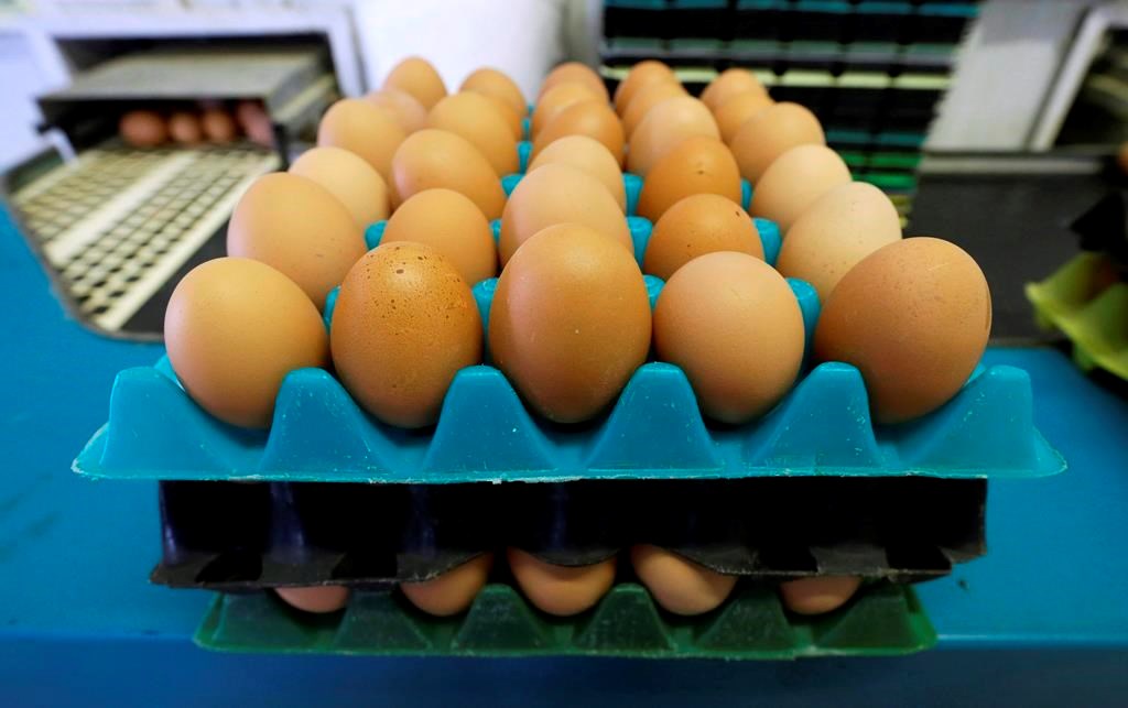 Les banques alimentaires du Québec sonnent l'alarme