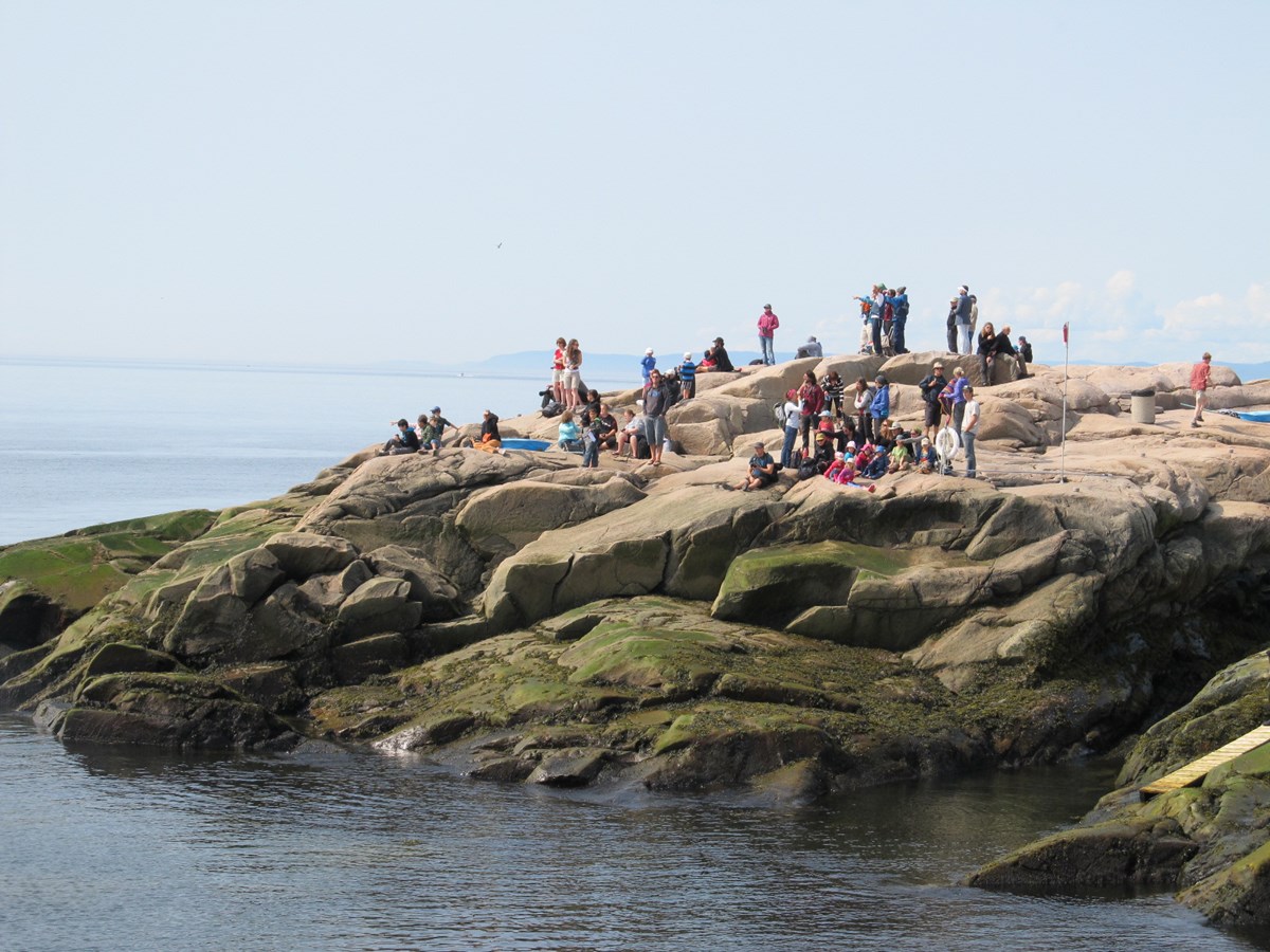 L'observation des baleines à Cap-de- Bon-Désir près de Grandes-Bergeronnes.
