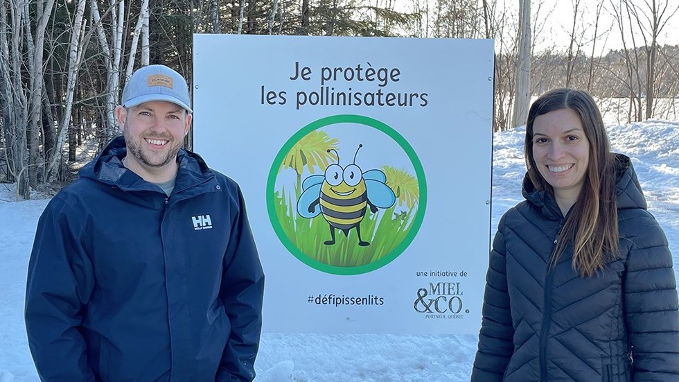 Défi Pissenlits: éviter de tondre la pelouse en mai pour aider les pollinisateurs