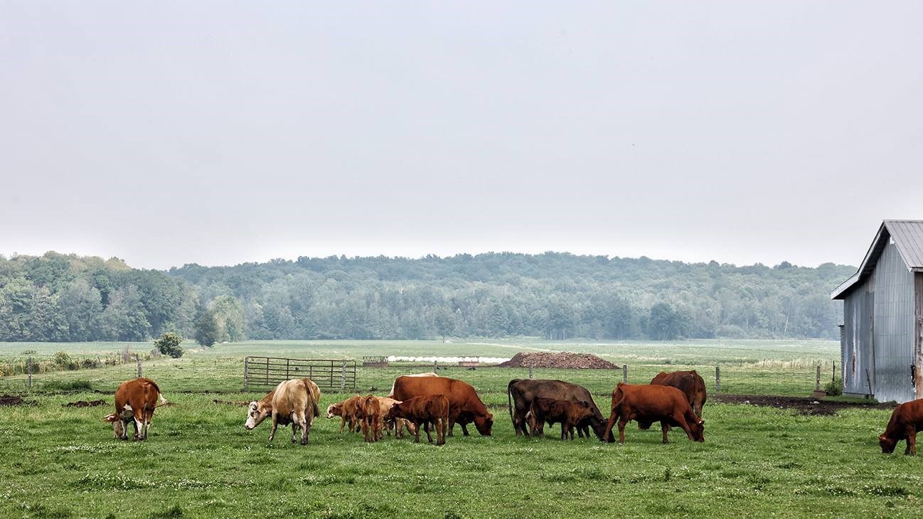 Mettre en lumière le travail innovant de plus de 50 entreprises agricoles sélectionnées en Montérégie