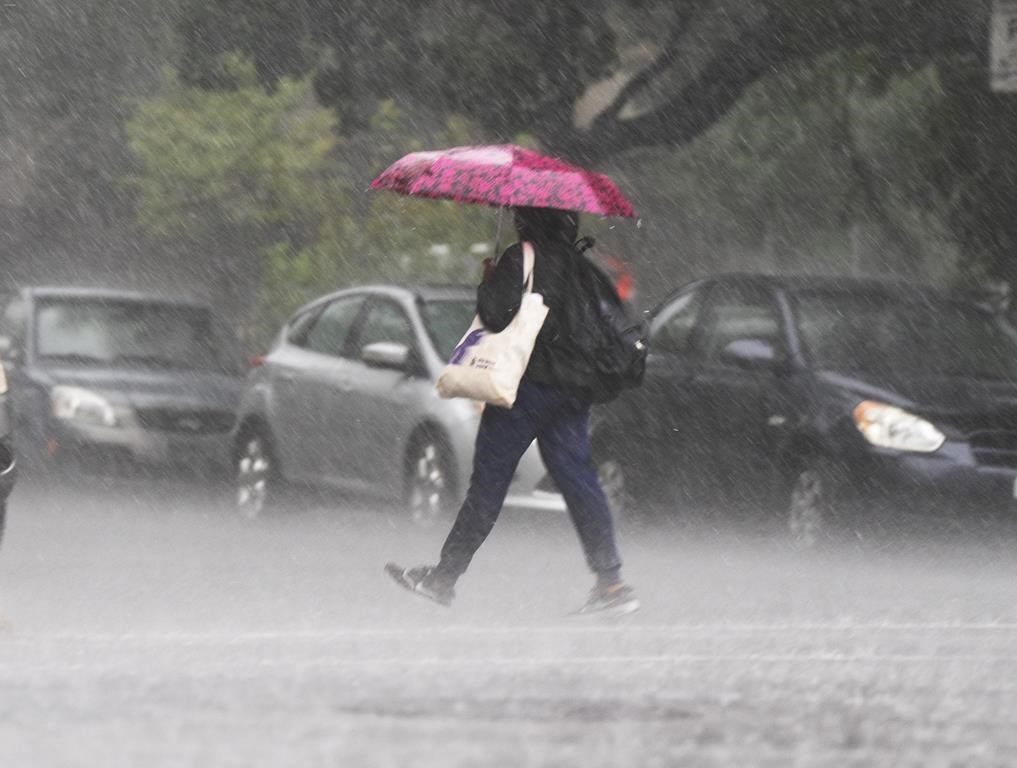 La pluie fera son retour dans plusieurs régions du Québec cette fin de semaine