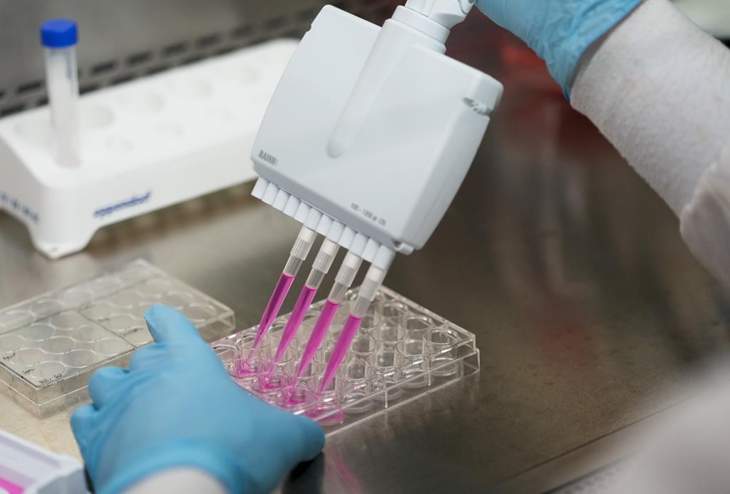 Rendre le cancer vulnérable au système immunitaire