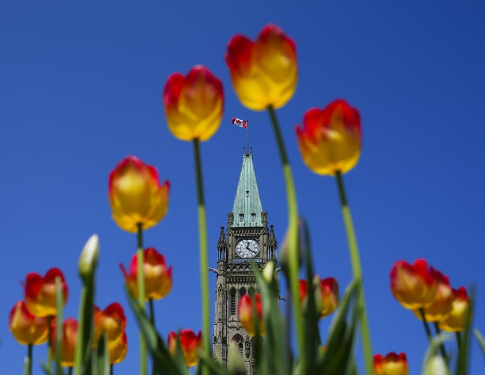 Des experts doutent de l'efficacité de la stratégie du Canada pour une économie verte