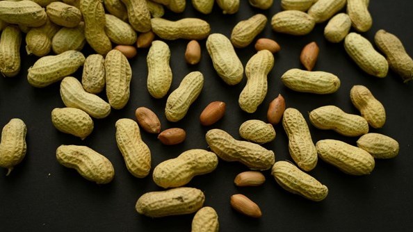 Donner des arachides aux bébés a permis d'éviter des allergies, selon une étude