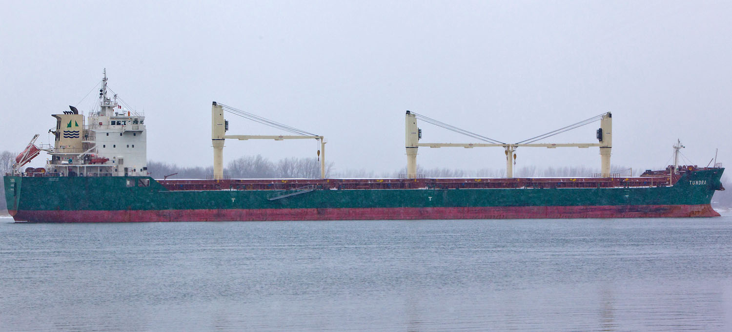 Le Tundra, qui bat pavillon chypriote, transporte du soya en vrac.