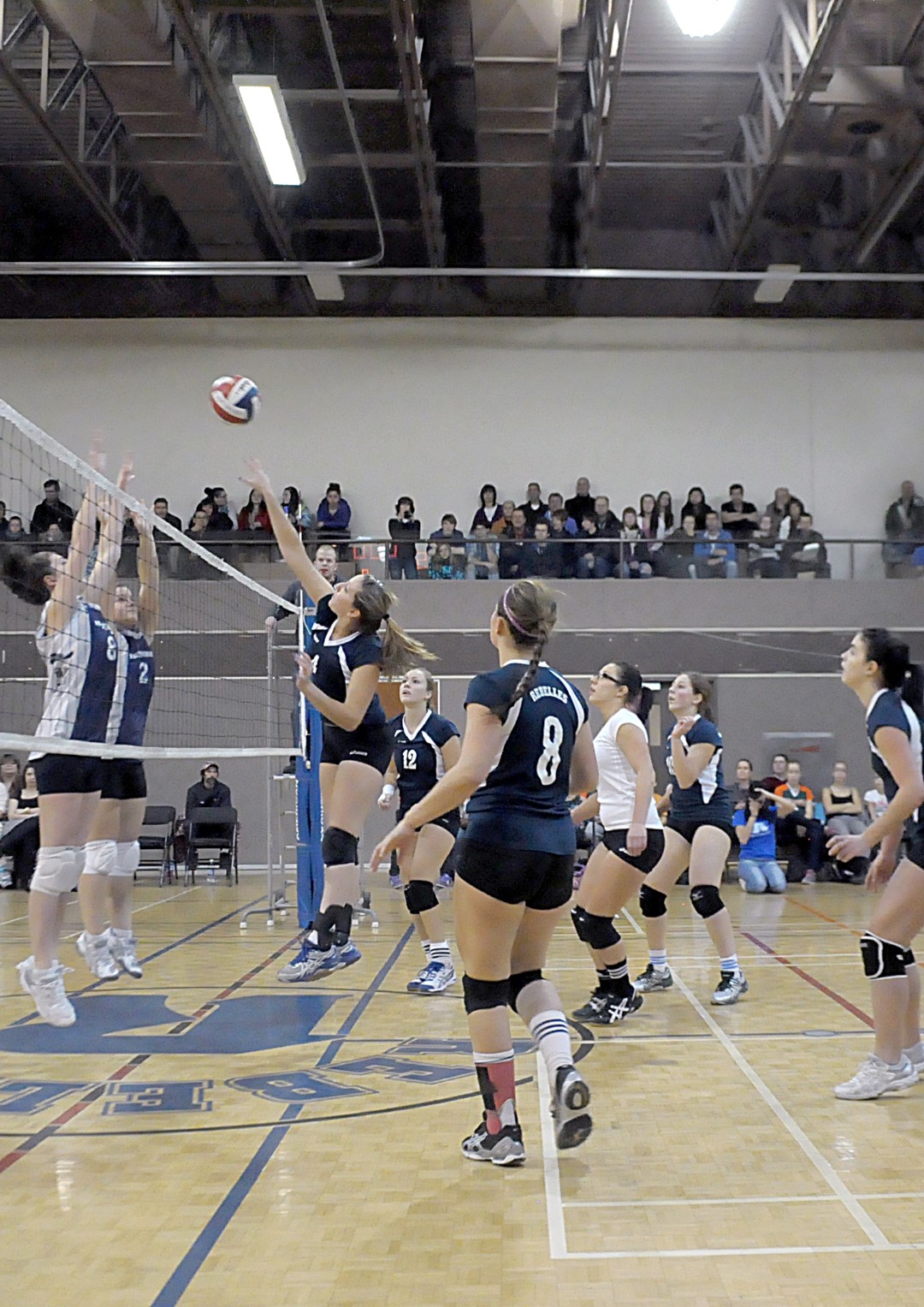 En volleyball féminin division 2, les Rebelles sont cinquièmes sur sept, avec 13 manches gagnées et 18 perdues.