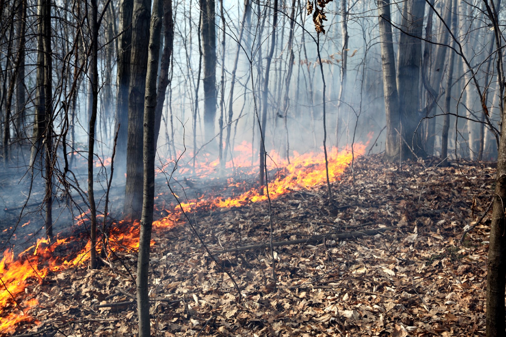 Le feu a été maîtrisé vers 19 h 15.