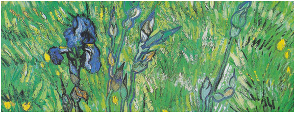 Cette exposition rassemblera une quarantaine d’œuvres de Van Gogh – artiste parmi les plus importants du 19e siècle - dont certaines rarement montrées au public.