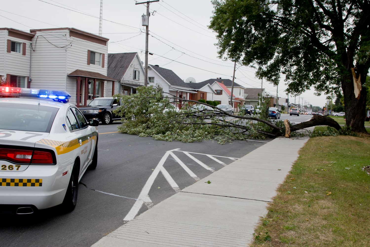 Le 8 septembre dernier, un arbre est tombé dans la rue Victoria, à Sorel-Tracy, en face du garage municipal, à cause des vents violents qui ont soufflé.