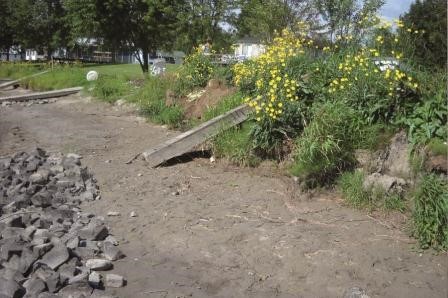 Le Comité ZIP du lac Saint-Pierre emploie des techniques de génie végétal pour sauver les berges et le poisson.