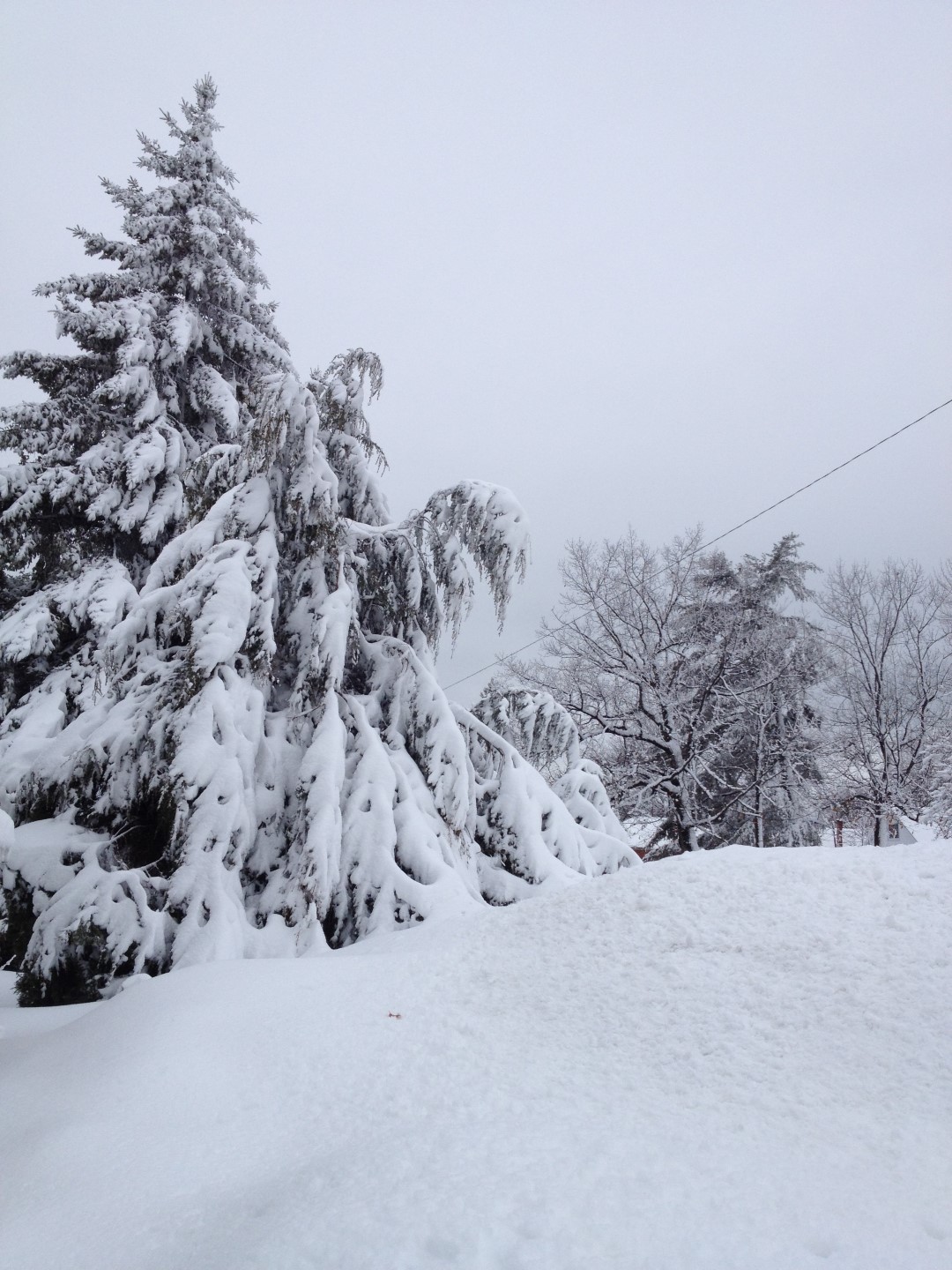 Pas moins de 5000 foyers ont été privés d’électricité dans la nuit de mercredi à jeudi, à cause de la neige.