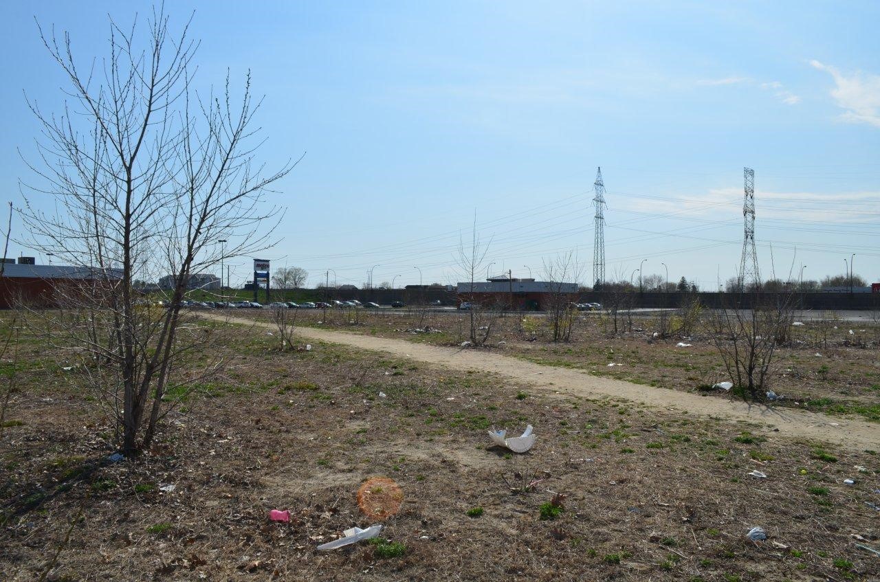 Une partie du site est composé d’un grand espace asphalté, d’arbres en friche, de sentiers en terre battue, le tout parsemé de déchets qui jonchent le sol.